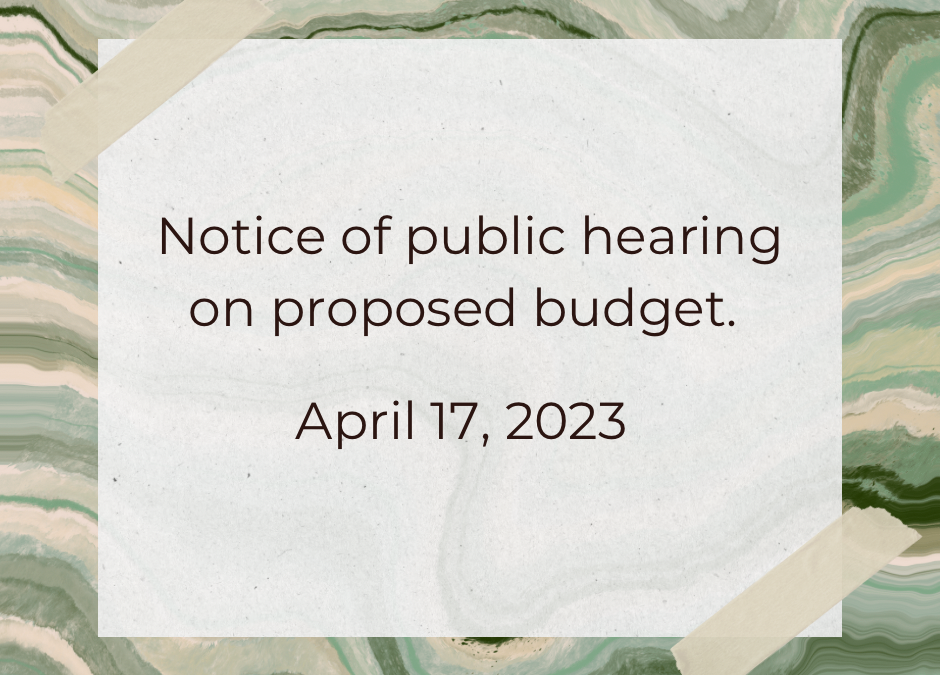 Notice of Public Hearing on Proposed Village Budget & Videoconferencing of Meetings